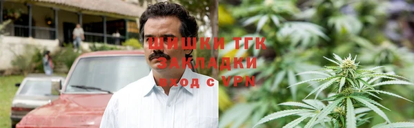 молекула духа Алексин