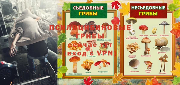 марки lsd Абаза