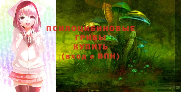 а пвп мука Алзамай