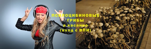 а пвп мука Алзамай